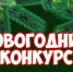 Территория Волшебства в Судогодском округе - Судогодский район